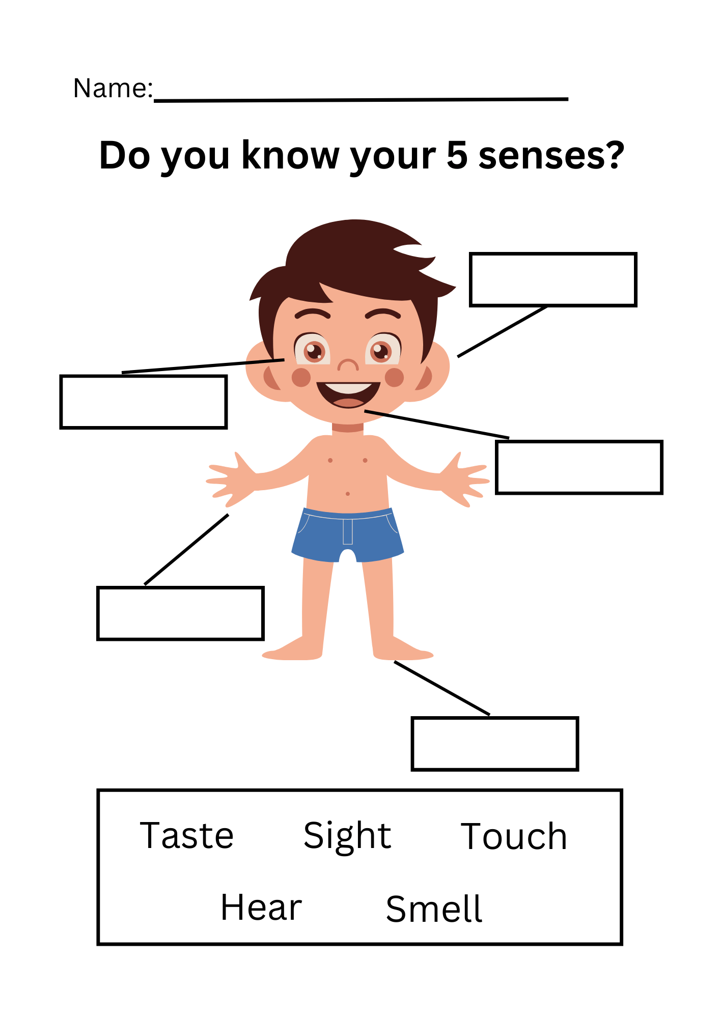 The Five Senses