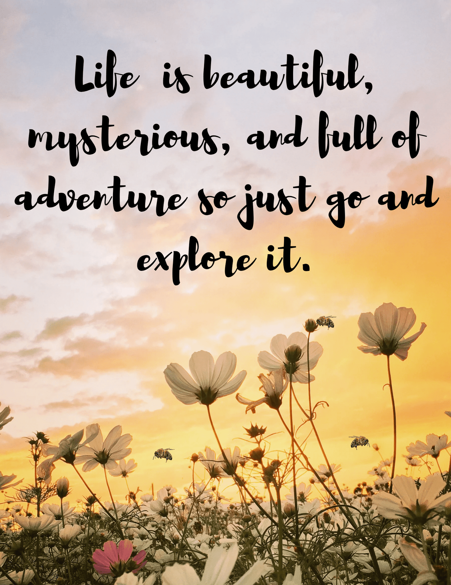 Life Is Beautiful - Inspirational Quote